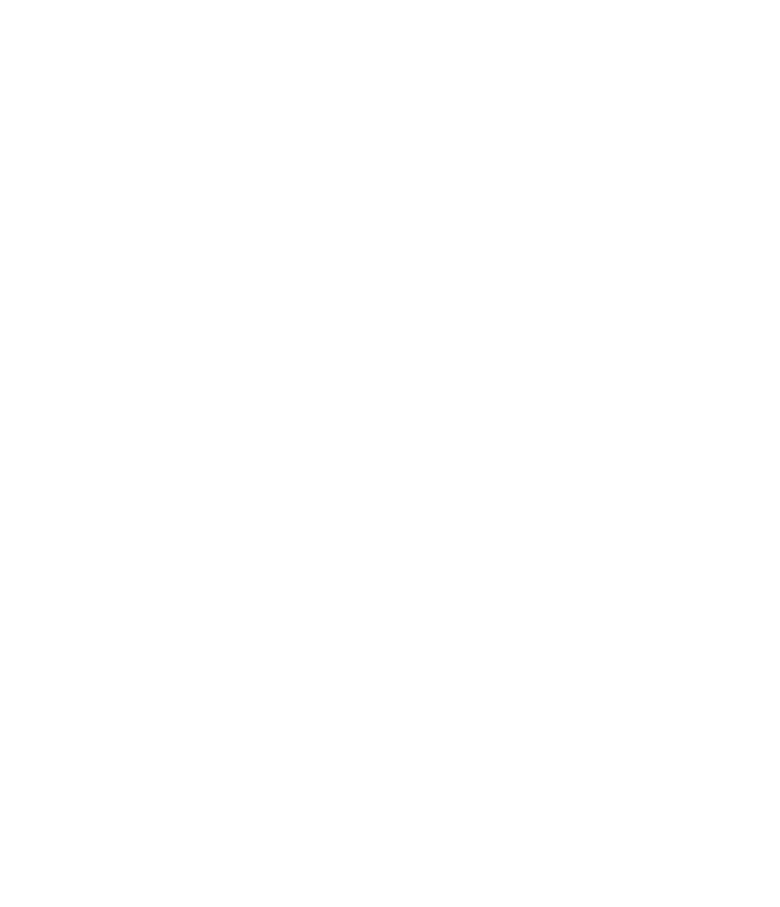 Sydney Swans
